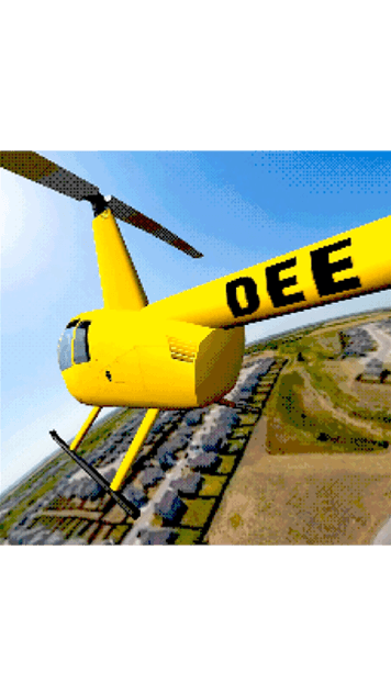 Dee's Chopper